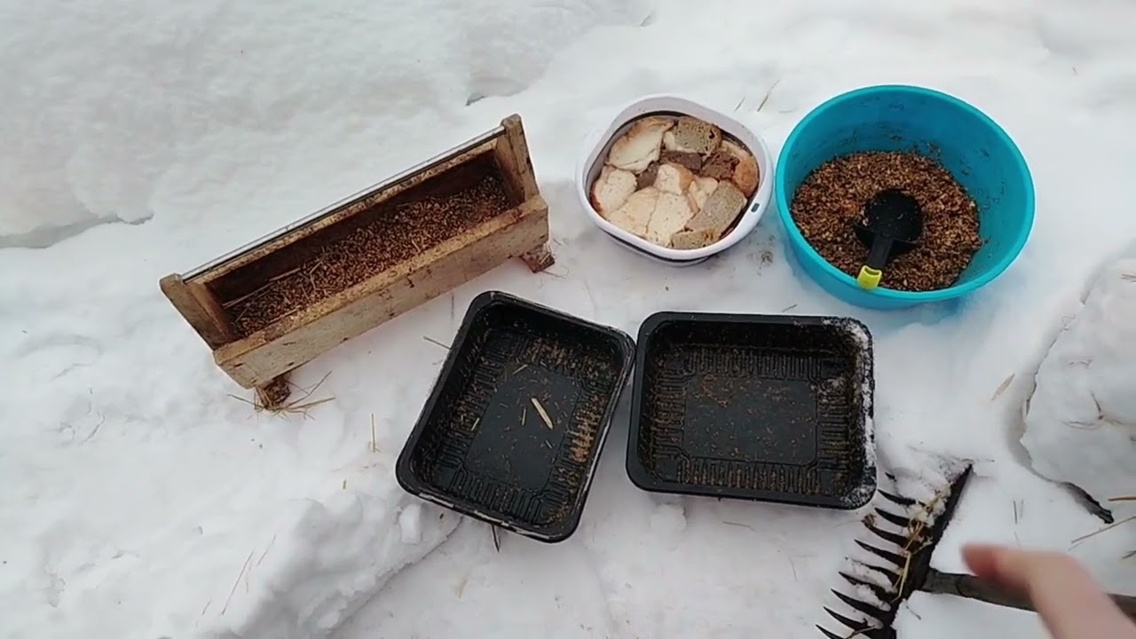 13.02.26г. А ЯИЦ ТО НЕТ 😳🤦🏼‍♀️