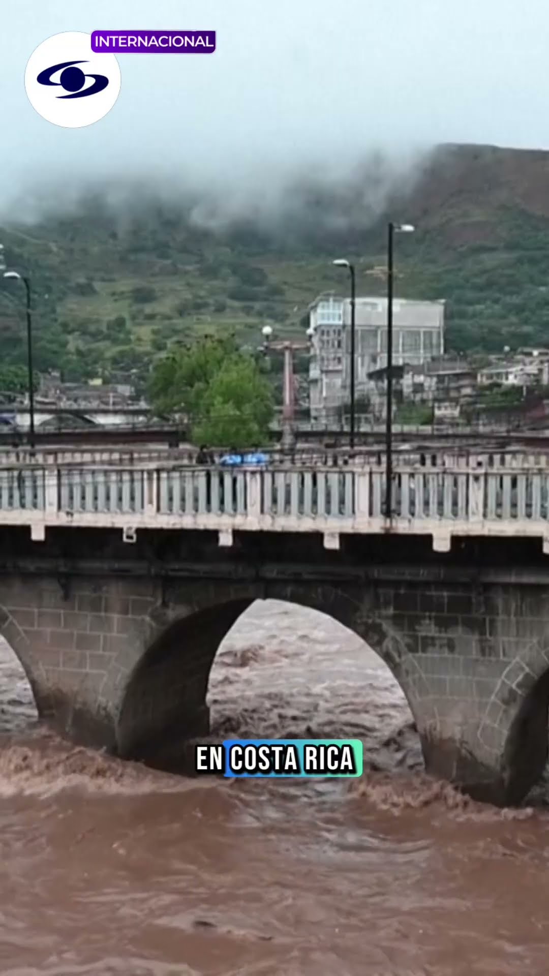 Lo último en noticias