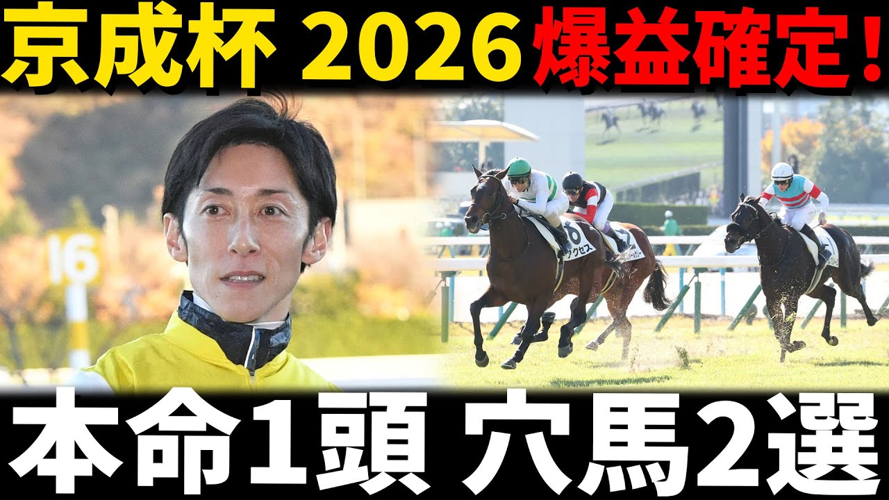 【京成杯 2026 データ分析予想】激走する新馬勝ち直後馬の条件は？ 信頼の本命1頭と爆益を呼ぶ穴馬2選を完全公開！