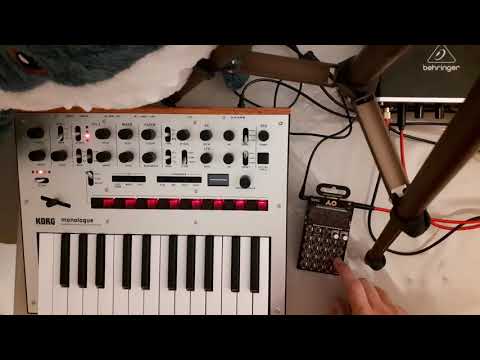 Jamming on a fast rhythm (with Korg Monologue & Po-32tonic)