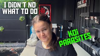 KOI POND PARASITE UPDATE !!!! 
