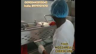 Mozzarella Cheese Cooker #mozzarella #cheese #dairymachinery #cheesefactory Mozzarella Cheese Cooker #mozzarella #cheese #dairymachinery #cheesefactory