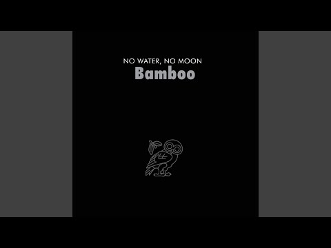 Questions - Bamboo
