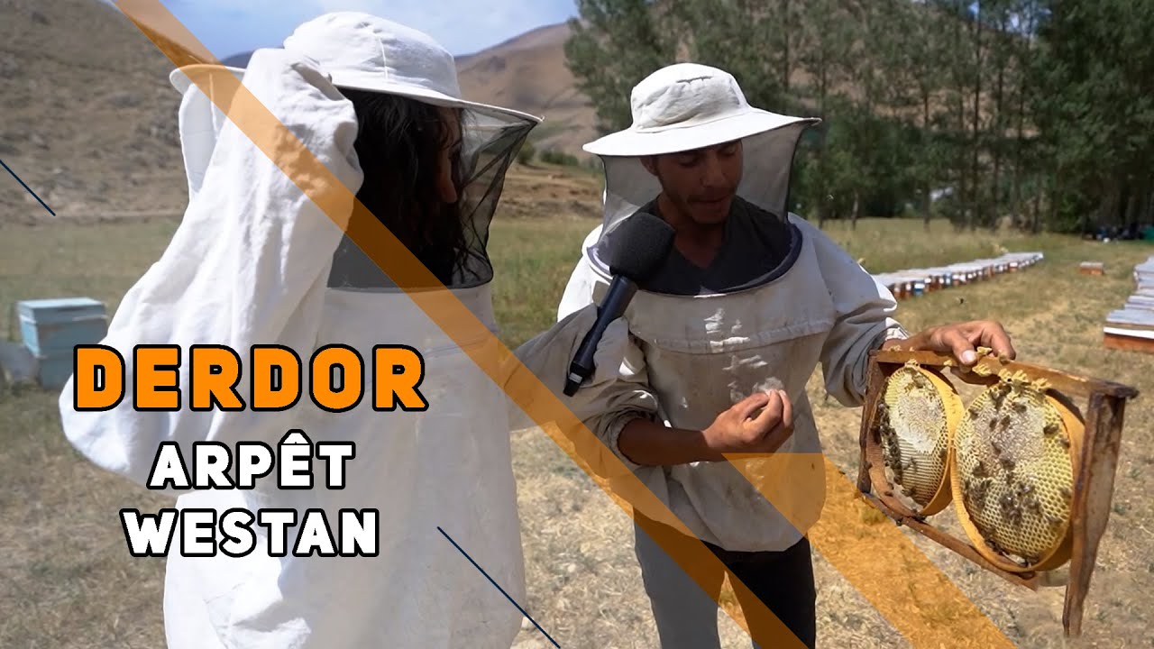 DERDOR - ARPÊT / WESTAN