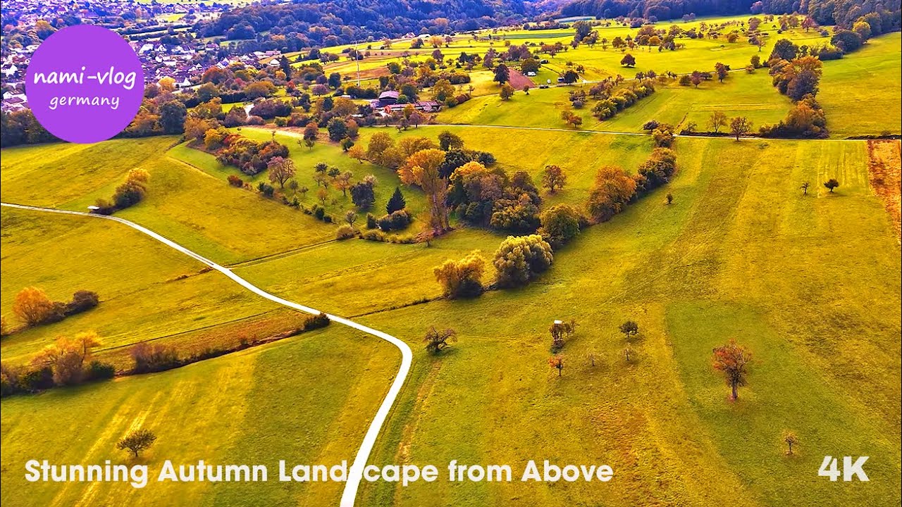 🍂 Потрясающий осенний пейзаж сверху: полет на дроне и отдых | 