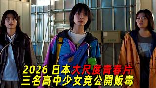 2026日本大尺度青春片！ 三名高中少女竟公開販毒！ 一口氣看完《萬事順利》