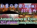 (307箇所)紅葉の京都・総集編(2005年~2021年・過去撮影したスポット全部まとめてみました)【Autumn Leaves in Kyoto】(4K)