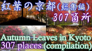 (4K) Kyoto in Autumn Foliage, Compilation (20052021)