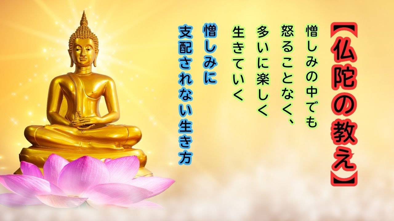 【仏陀の教え】憎しみに支配されない生き方｜SNS時代に必要な心の護り方｜2500年前の智慧が現代人を救う 