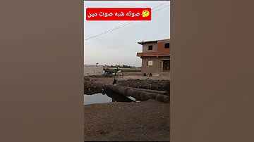 أجمل صوت ممكن تسمعه يشبه صوت العندليب يارب سبحانك 