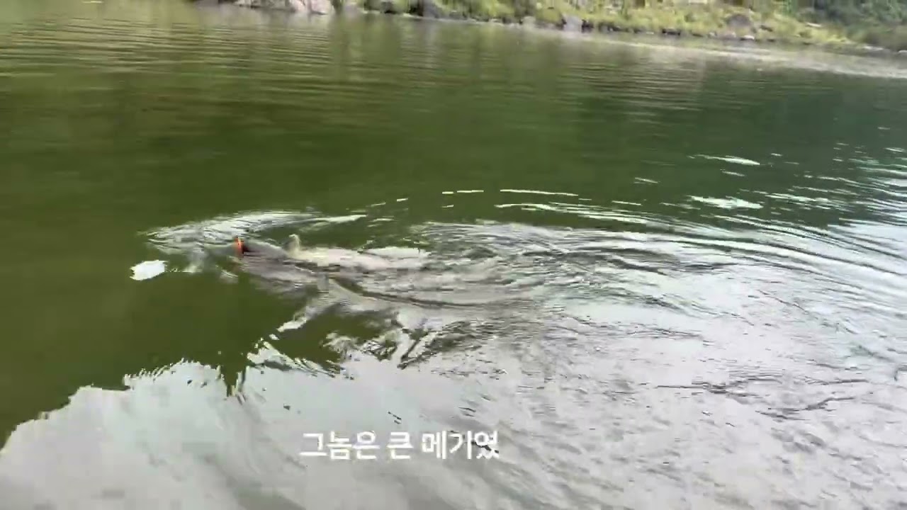 섬진강에 이런 대물이??