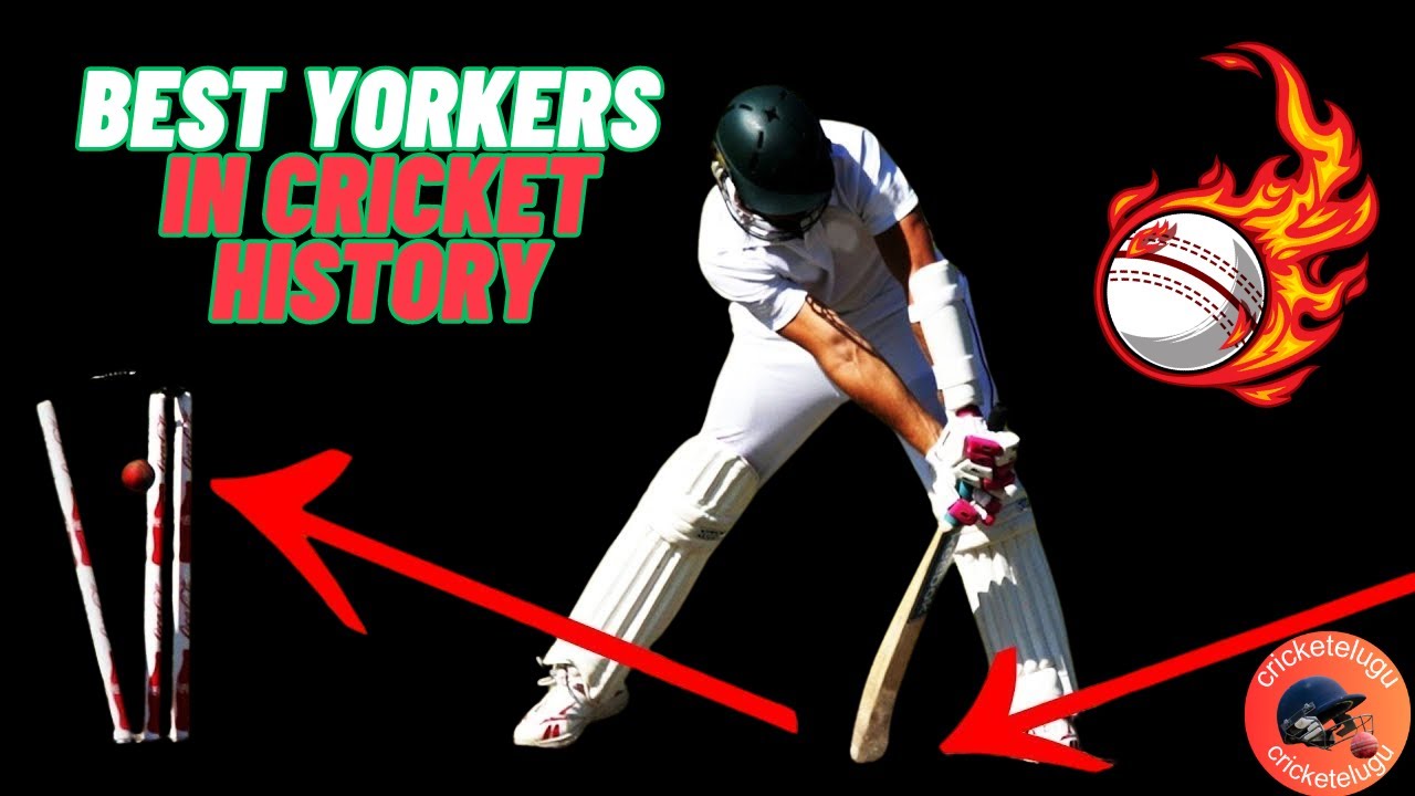 Best Yorkers in Cricket History | cricketelugu - YouTube
