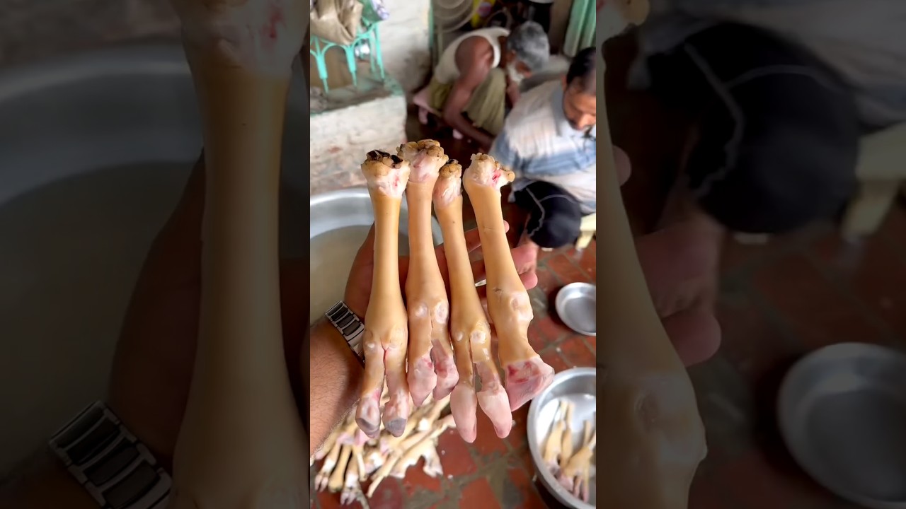 Mutton Paya Soup Recipes | Cooking in Pakistan | 