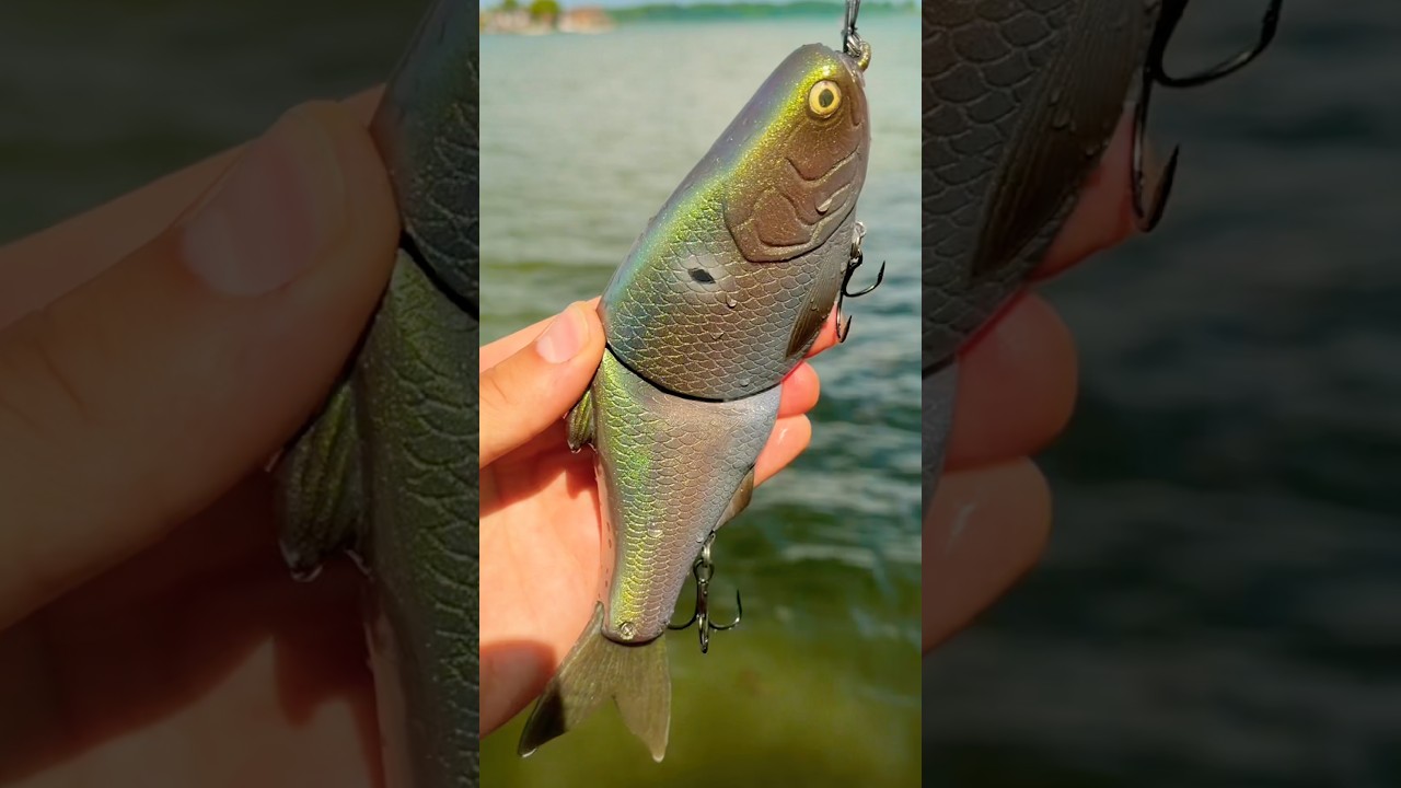 Swim Test. 8 5150 X Slow Sink #handmadelure #fishing #swimbaitfishing  #bassfishing #swimbait - YouTube