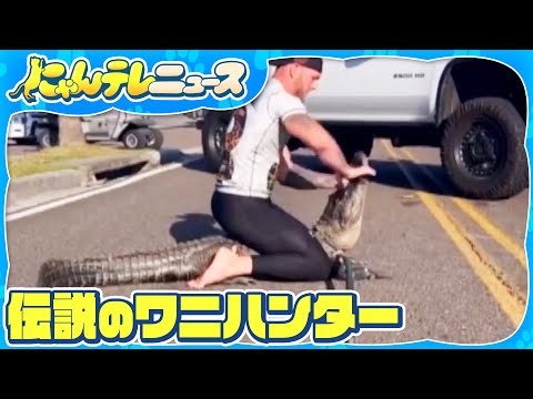 【“伝説ワニハンター”】素手で捕獲…これまでに82匹も アメリカ・フロリダ州