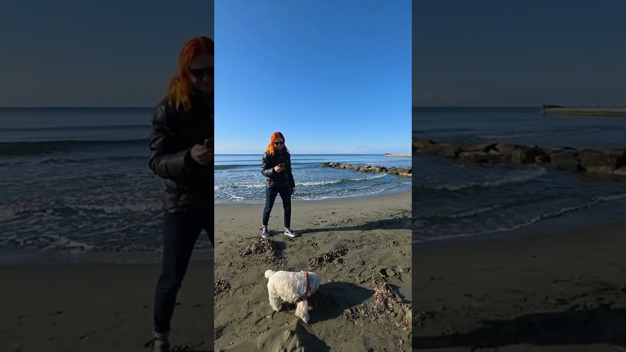 ⁣Лучший момент трансляции