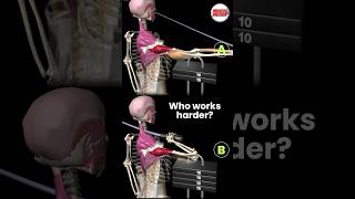 which variation demands more from your posterior deltoid? #muscleandmotion #ReverseFlys