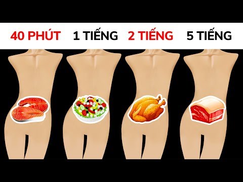 Video: Mất Bao Lâu để Thức ăn được Tiêu Hóa?