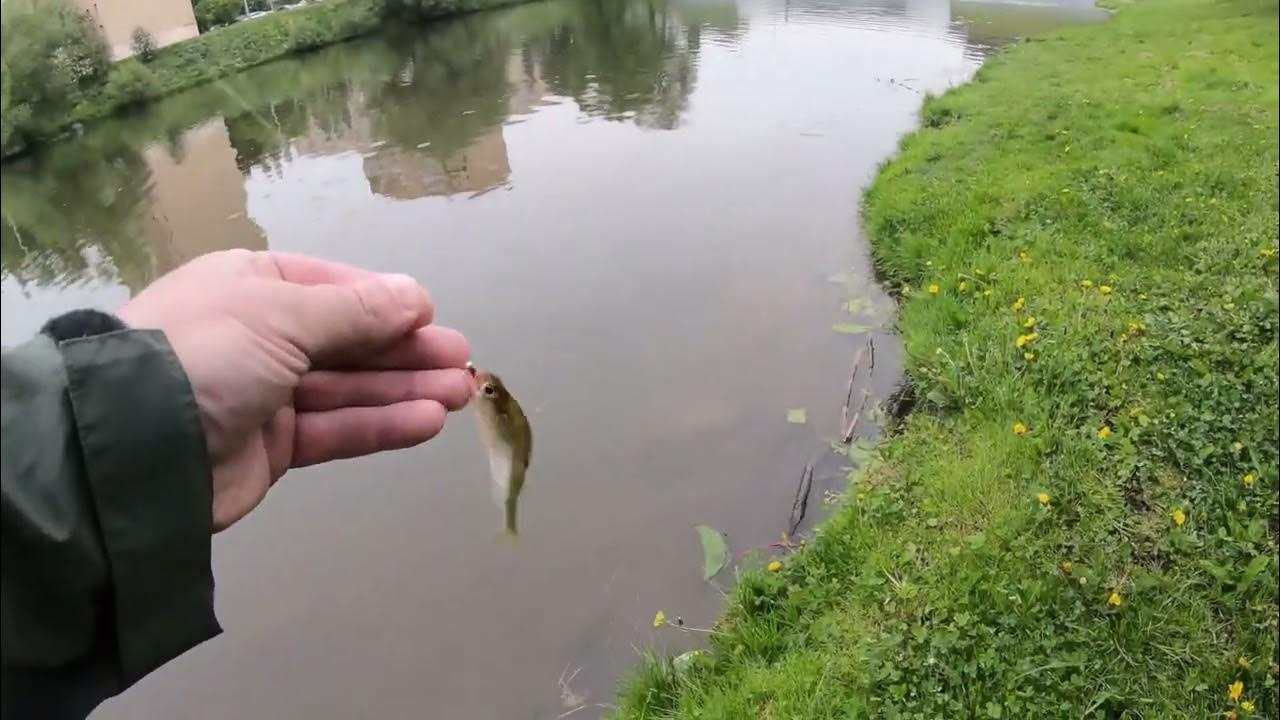 МОРМЫШИНГ. Тестирование Yamatoyo Light Game 4 PE#0,25 - YouTube