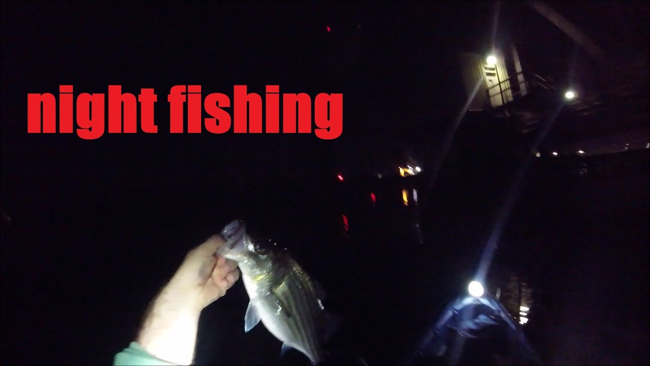 Night fishing for STRIPED BASS! YouTube