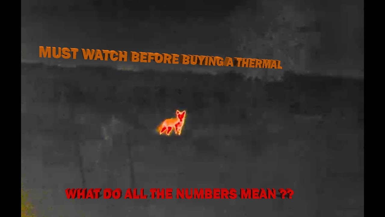 YouTube player