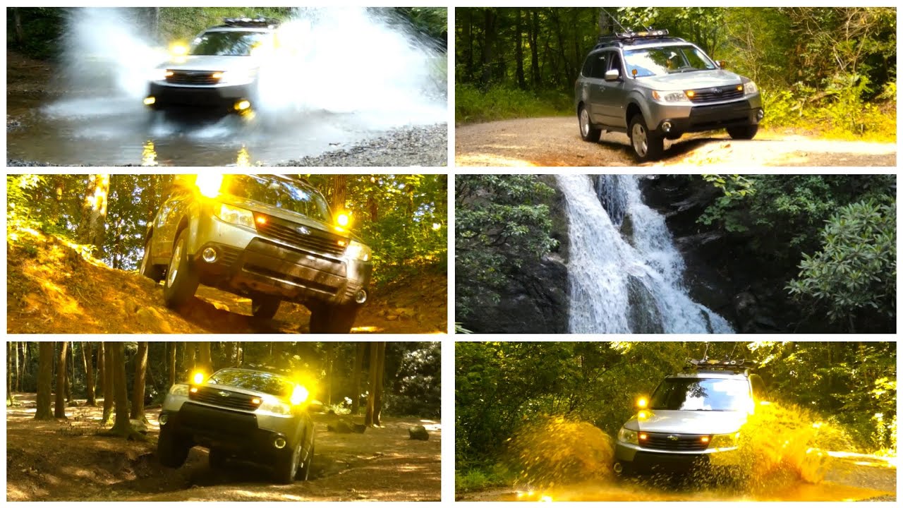 North Georgia Adventure! Exploring Corbin Creek Rd, Tray Mountain. Rd, and Indian Grave Gap Rd.