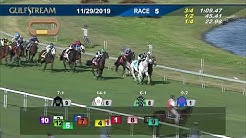 Gulfstream Park November 29, 2019 Race 5