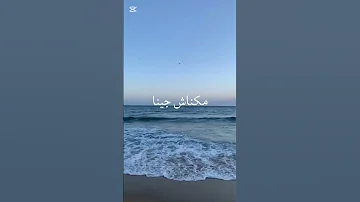 ابتدينا ابتدينا الليله عمرو دياب ابتدينا 