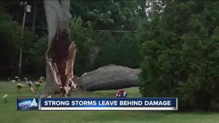 Strong storms in Campbellsport leave behind damage
