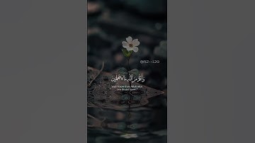 وتولى عنهم وقال يا اسفى على يوسف_سعد الغامدي_سورة يوسف_🖤🎧#قرآن