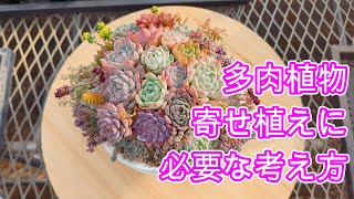 多肉植物】【寄せ植え】ここに気を付けると寄せ植えが上手くいく - YouTube