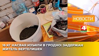 16 кг насвая изъяли в Гродно: задержан житель Вертелишек