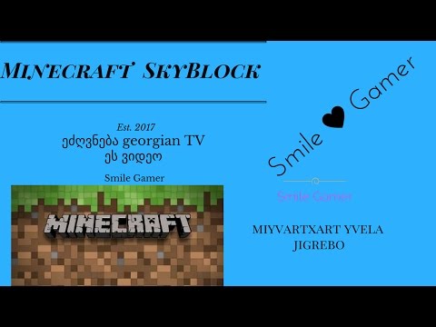 Minecraft  SkyBlock