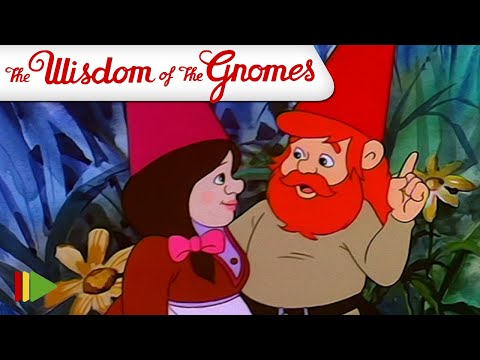 THE WISDOM OF THE GNOMES - 13 | Full episode |