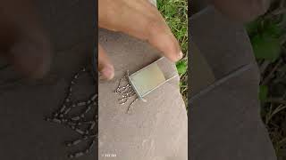 tractor bumper #swarajshop #trending