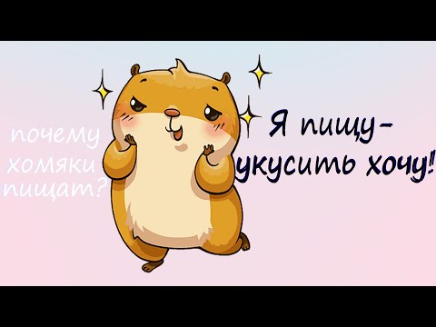 ХОМКИ. Какие звуки издает хомяк? Почему пищит сирийский хомяк? Завести хомяка.