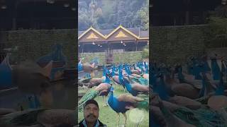 #truedialogue #facts #shortsfeed #shortvideo #shorts