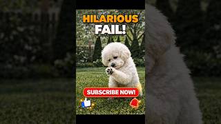 Dog Misses High Five 😂 Hilarious Backyard Fail! #shorts