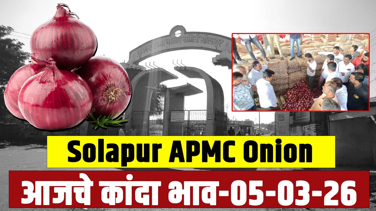 Solapur APMC Onion : आजचे कांदा भाव-05-03-26