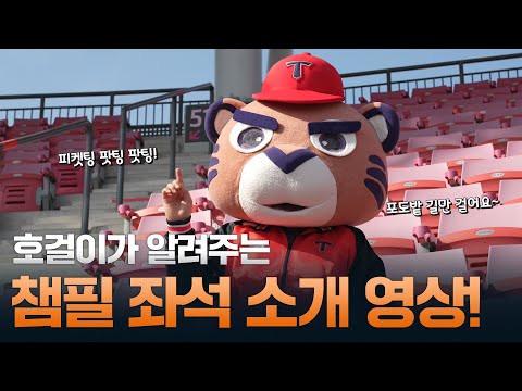 나랑 찰떡콩떡💛인 챔필 좌석은? (좌석별 시야 有)