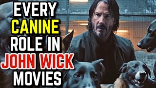 Every Dog's Role in John Wick Movies  Explored