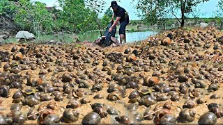 Amazing fishing Crabs and snails after rainy at the hill catch by skill man