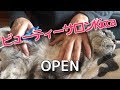 自分で毛づくろい出来なくなった老猫のブラッシング＆毛玉カット 20/03/06