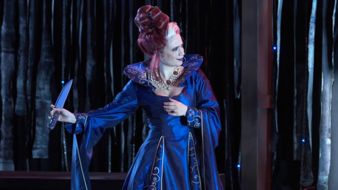 cinderella’s castle out of context