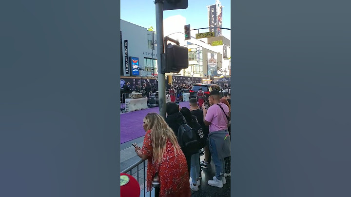 Wakanda Forever premiere day October 26, 2022 Hollywood blvd