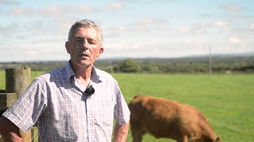 SCR Heatime on Irish Beef farms - by Efficient  Farm Systems