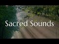 639 Hz heart chakra love attraction | Sacred Healing Music ✨