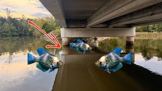 Fall Crappie Fishing - This Bridge Was LOADED WITH FISH!!