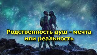 Родственность Душ — Мечта Или Реальность