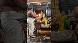 Sri Andal Rangamannar Thiruvaadipooram Kalyanothsavam Arathi